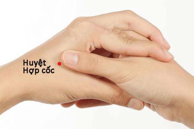 Vị trí huyệt Hợp Cốc